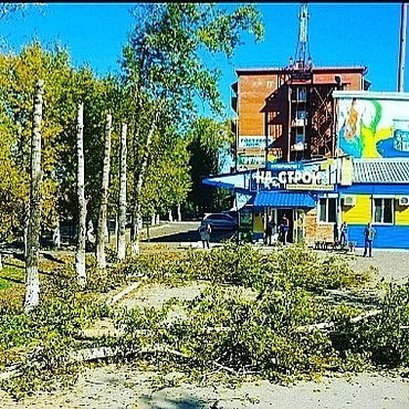 Услуги по благоустройству