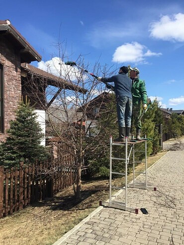 Спил деревьев и кустов, опиловка