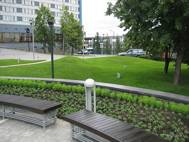 Благоустройство территории