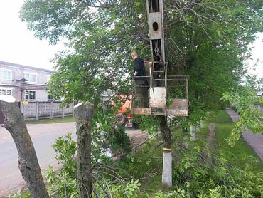 Кронирование деревьев