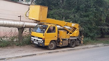 Спил деревьев и кустов, опиловка