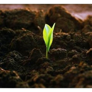 Доставка чернозёма