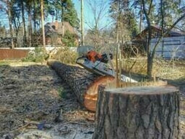 Кронирование деревьев