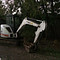 Bobcat