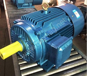 TC6016A-8, Подъемный двигатель для кранов башенных