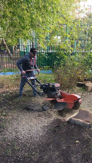 Выкорчевка пней