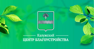 Благоустройство территории