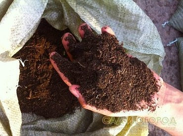 Доставка чернозёма