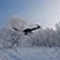 Colibri Colibri-S