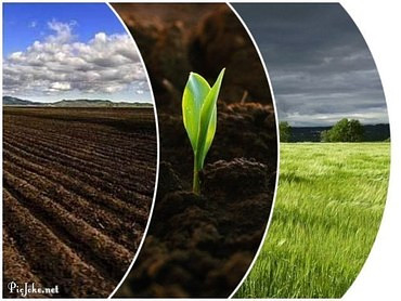 Доставка чернозёма