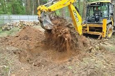 Выкорчевка пней