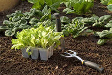 Продажа навоза (перегноя) с доставкой