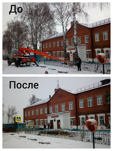 Спил деревьев и кустов, опиловка