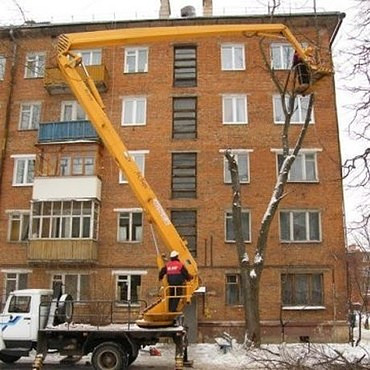 кронирование и удаление деревьев