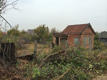 Вырубка деревьев