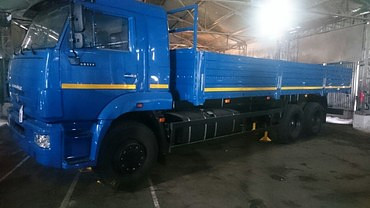 КАМАЗ 65117