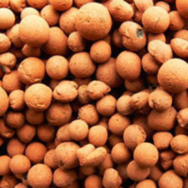 Оказание транспортных услуг