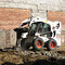 Bobcat S175, S250