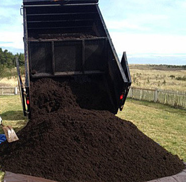 Предлагаю грунт