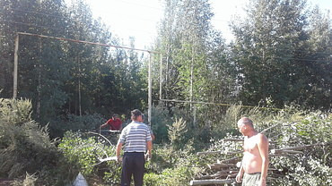 Опиловка и рубка деревьев