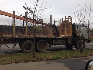 Транспорт леса