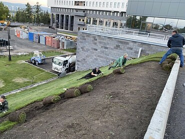 Благоустройство территории