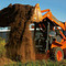 LOCUST L753