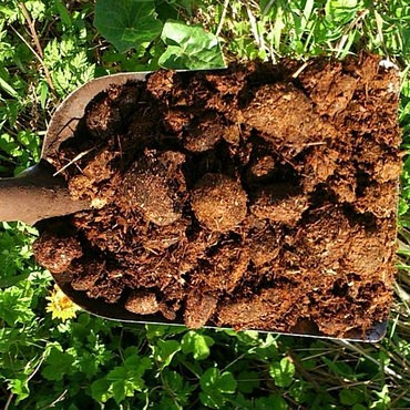 Доставка навоза 