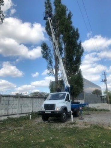 Обрезка деревьев