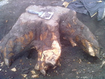 Выкорчевывание пней