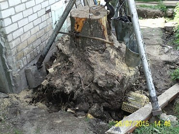 Корчевание деревьев, пней и кустарников