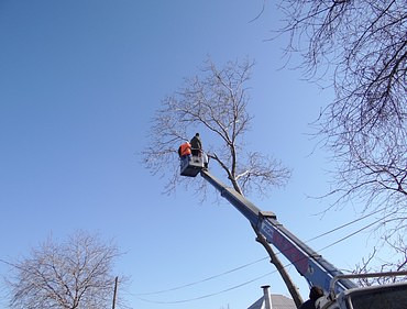 Опиловка деревьев, фасадные работы