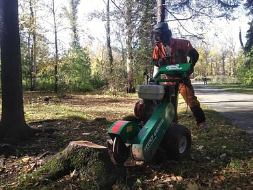 Выкорчевывание пней
