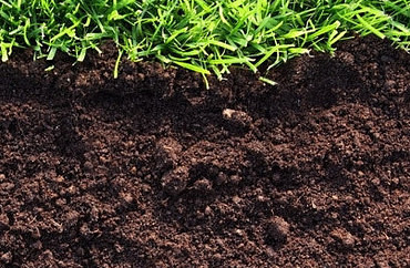 Доставка чернозёма