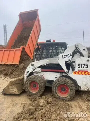 Bobcat S175