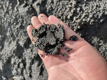 Вывоз строительного мусора (грунта)