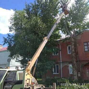 Обрезка, спил деревьев