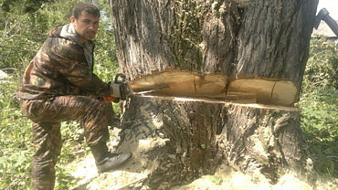 Специальные услуги