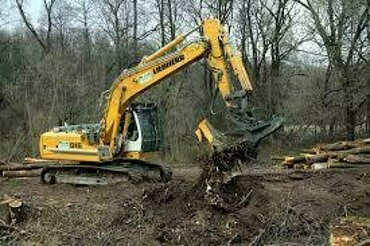 Выкорчевывание пней