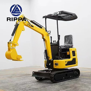 RIPPA R319