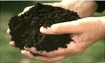 Доставка чернозёма