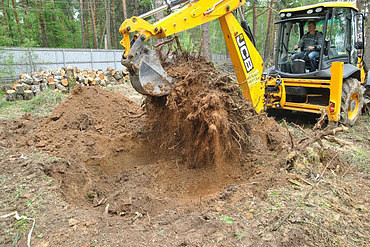 Корчевание пней