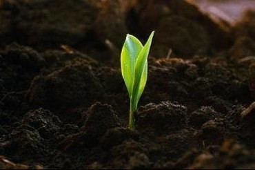 Доставка грунта