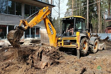 Удаление пней, кустарников и поросли