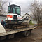 Bobcat