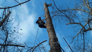 Работы по благоустройству территорий