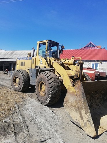Foton lovol 956f, sem zl 50g
