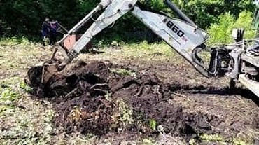 Корчевание деревьев, пней и кустарников