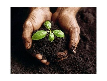 Доставка грунта