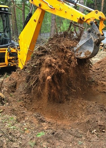 Выкорчевка пней